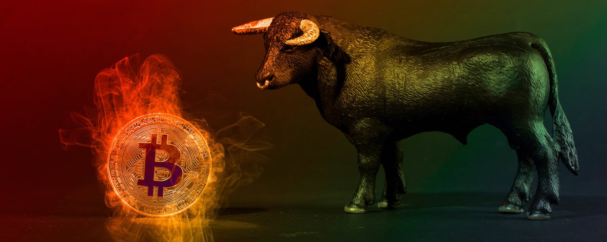 Bitcoin Bull