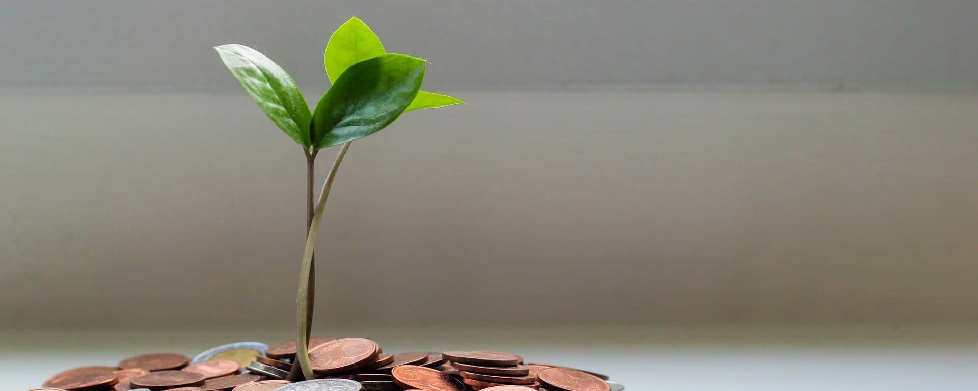 best crypto investments for the next five years