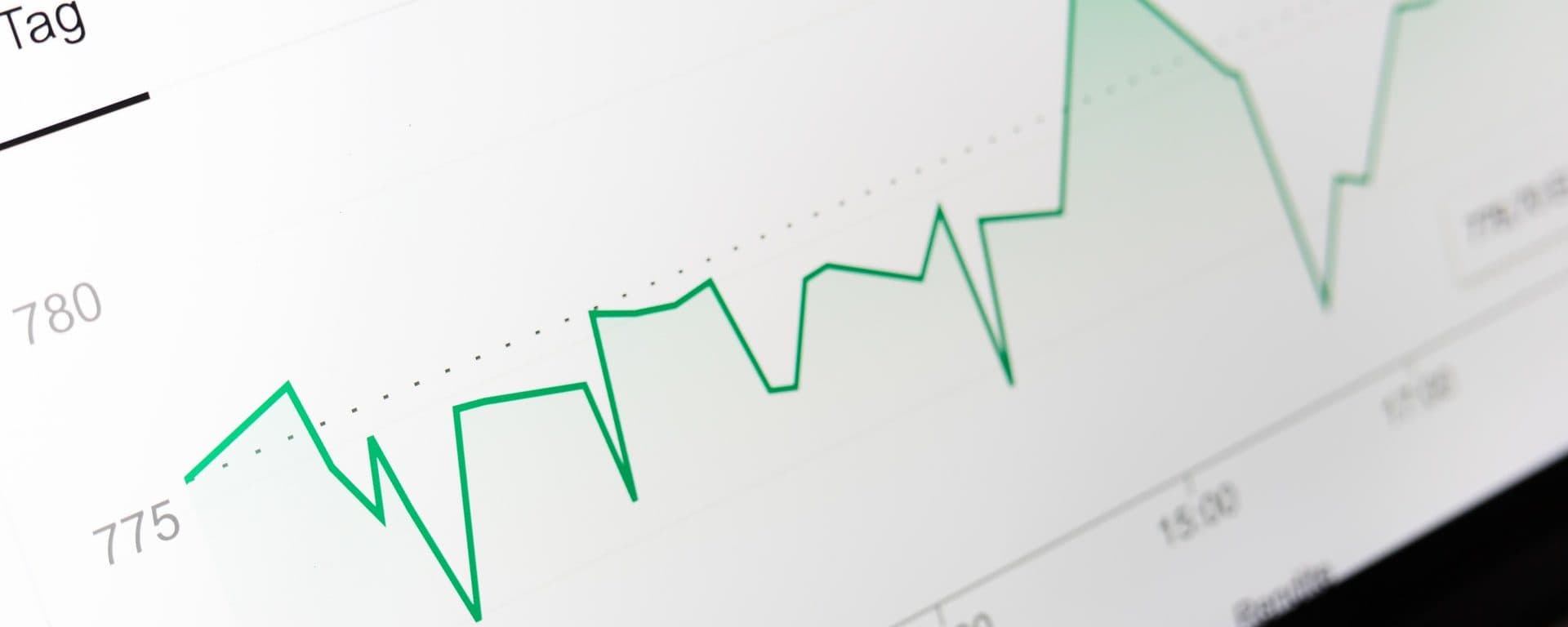 Is vechain a good investment in 2021